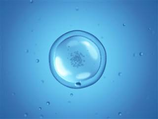 generic human cell; generic human cell;