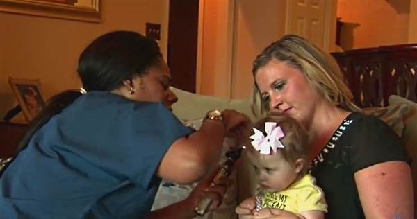 IMAGE: Chantelle Cook IMAGE: Chantelle Cook