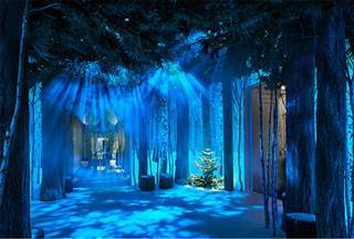 Image: Claridge's Christmas tree Image: Claridge's Christmas tree