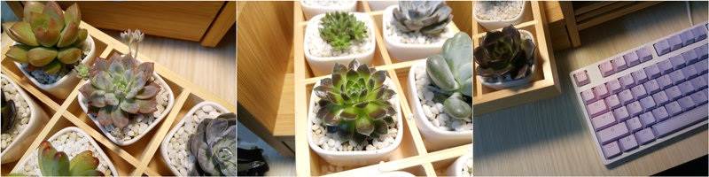 Xiaomi Redmi 4 Prime vs