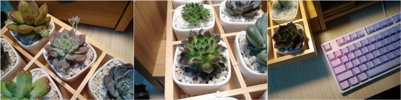 Xiaomi Redmi 4 Prime vs