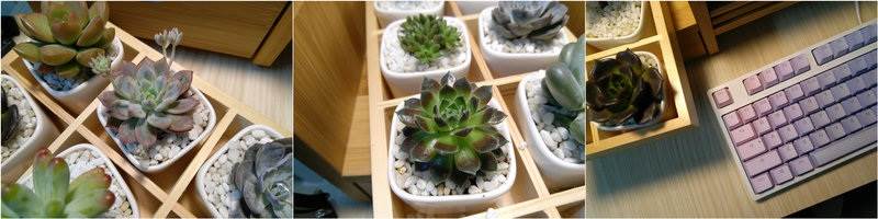 Xiaomi Redmi 4 Prime vs