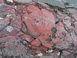 Image: Layer-deflecting bright red concretion of haematitic chert Image: Layer-deflecting bright red concretion of haematitic chert