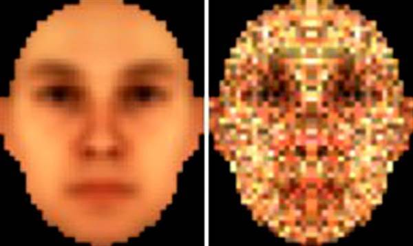 IMAGE: Facial recognition template IMAGE: Facial recognition template