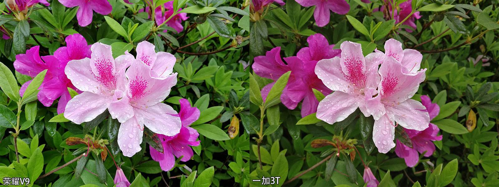 Huawei Honor V9 vs OnePlus 3T