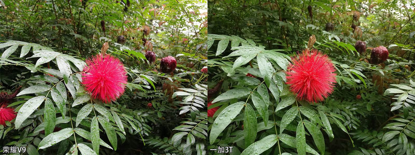 Huawei Honor V9 vs OnePlus 3T