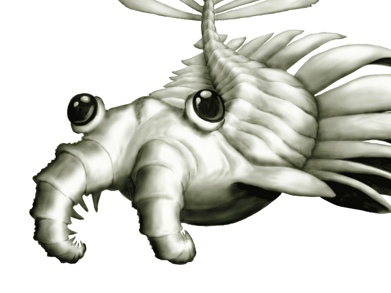 Wacom pen and Cube Mix Plus