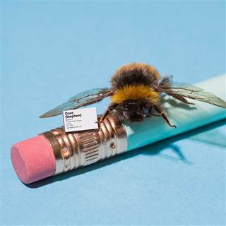 Image: Moo, a print on demand company, is proudly debuting its latest product: NanoCards, "a small card that makes a big connection." Image: Moo, a print on demand company, is proudly debuting its latest product: NanoCards, "a small card that makes a big connection."