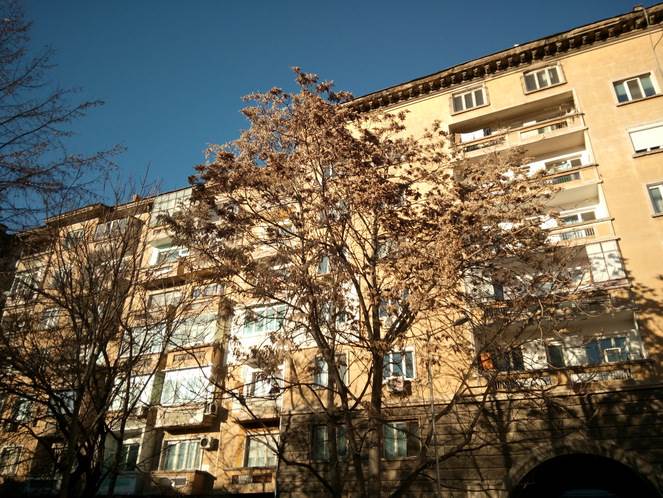 Oukitel K5000 Camera Review Good Lighting